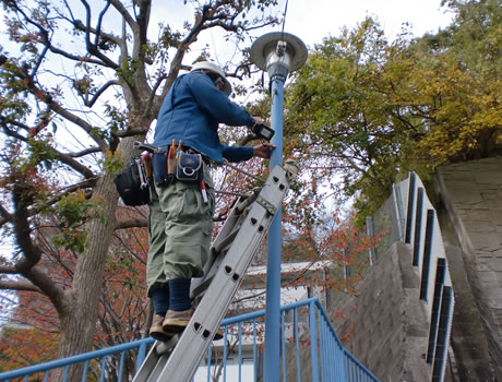 実際の導入事例